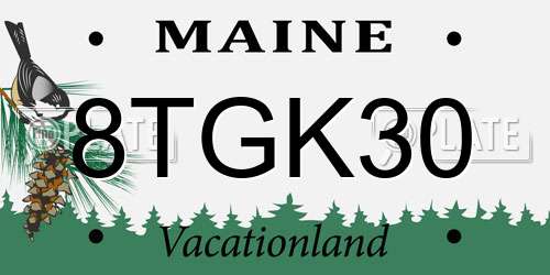 8TGK30 Maine License Plate