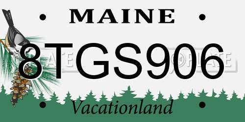 8TGS906 Maine License Plate