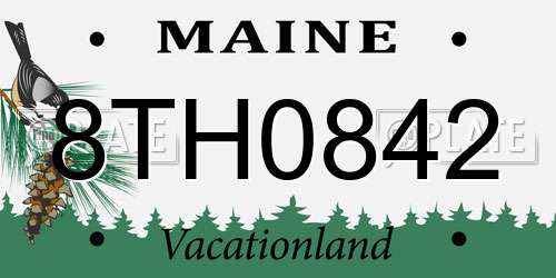 8TH0842 Maine License Plate