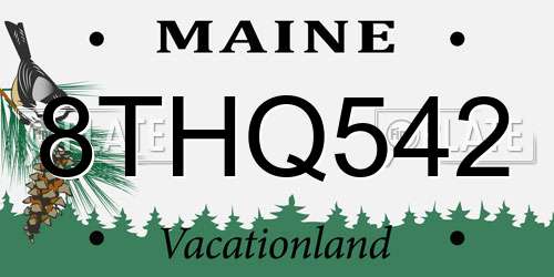 8THQ542 Maine License Plate