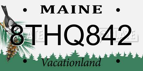 8THQ842 Maine License Plate