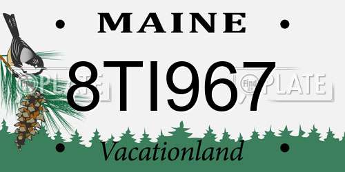 8TI967 Maine License Plate