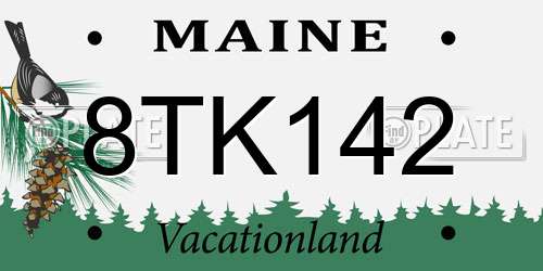 8TK142 Maine License Plate