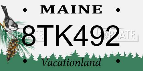 8TK492 Maine License Plate