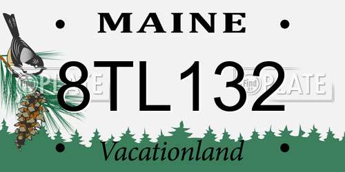 8TL132 Maine License Plate