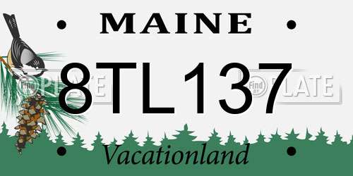 8TL137 Maine License Plate