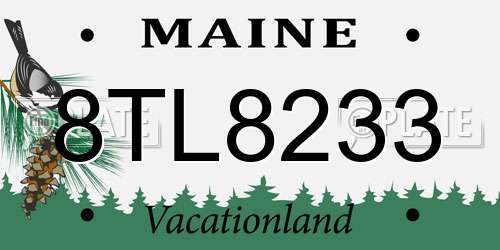 8TL8233 Maine License Plate