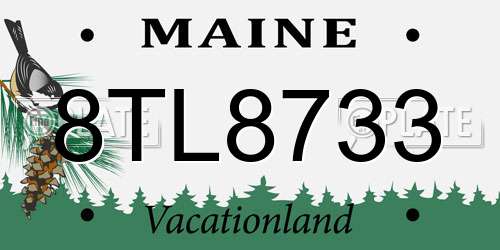 8TL8733 Maine License Plate