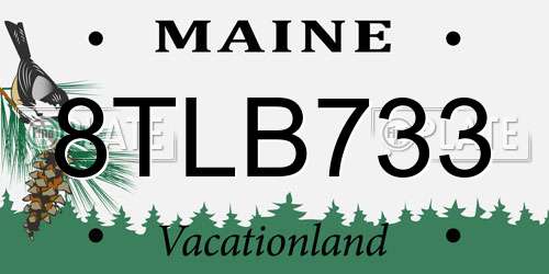 8TLB733 Maine License Plate
