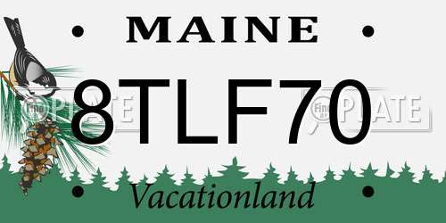 8TLF70 Maine License Plate