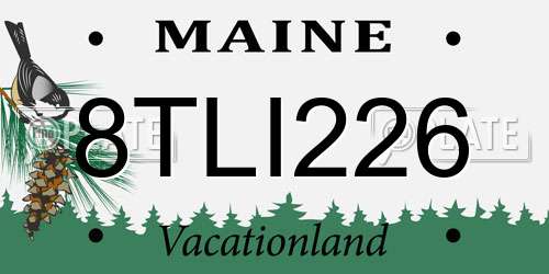 8TLI226 Maine License Plate