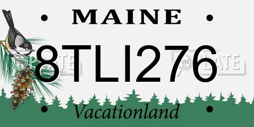 8TLI276 Maine License Plate