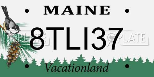 8TLI37 Maine License Plate
