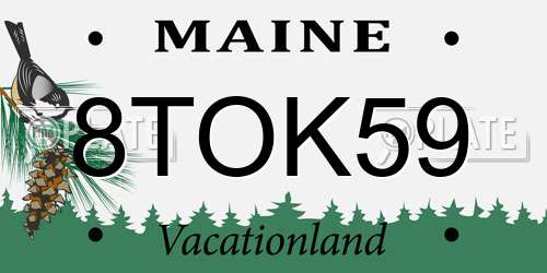 8TOK59 Maine License Plate