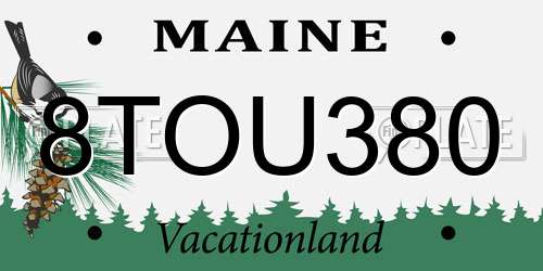 8TOU380 Maine License Plate