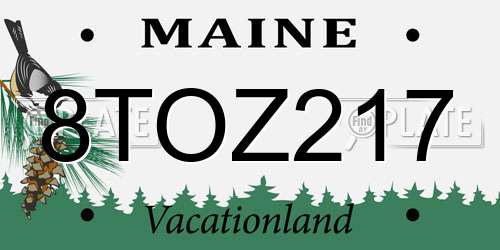 8TOZ217 Maine License Plate