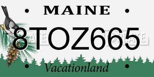 8TOZ665 Maine License Plate