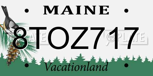 8TOZ717 Maine License Plate