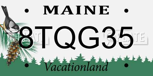 8TQG35 Maine License Plate