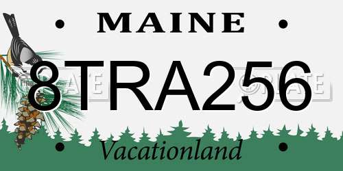 8TRA256 Maine License Plate