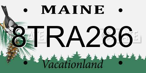 8TRA286 Maine License Plate