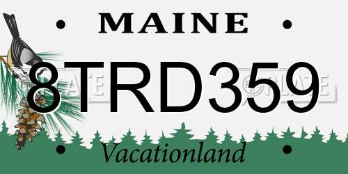 8TRD359 Maine License Plate