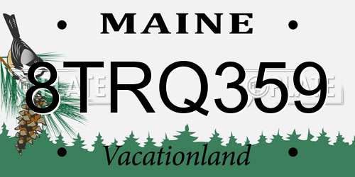 8TRQ359 Maine License Plate