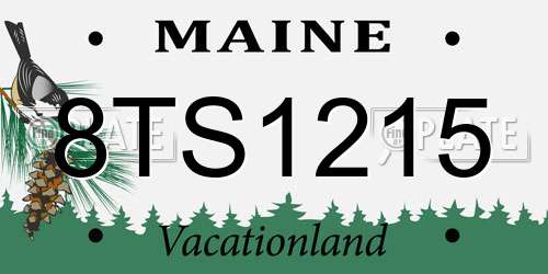 8TS1215 Maine License Plate