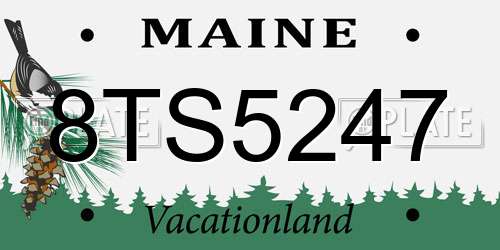 8TS5247 Maine License Plate
