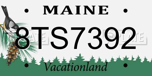 8TS7392 Maine License Plate
