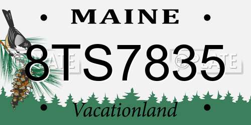 8TS7835 Maine License Plate