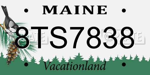 8TS7838 Maine License Plate