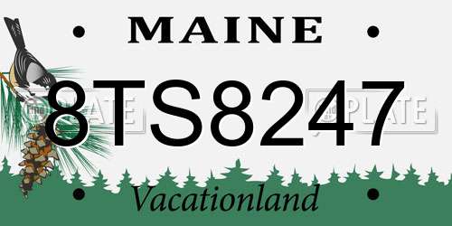 8TS8247 Maine License Plate