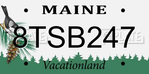 8TSB247 Maine License Plate