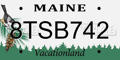 8TSB742 Maine License Plate