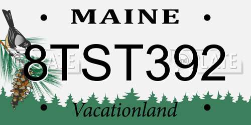 8TST392 Maine License Plate