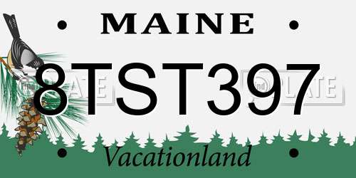 8TST397 Maine License Plate