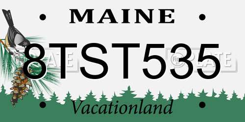 8TST535 Maine License Plate