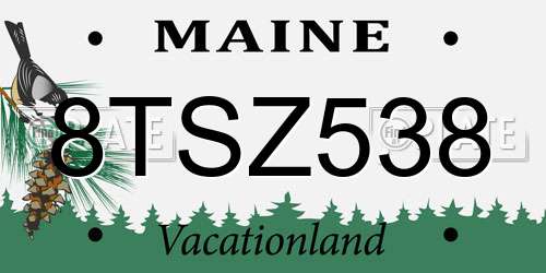 8TSZ538 Maine License Plate