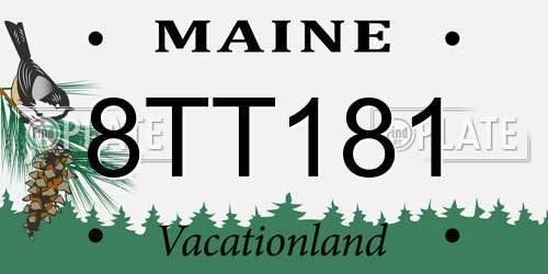 8TT181 Maine License Plate
