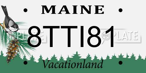 8TTI81 Maine License Plate