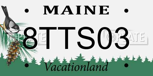 8TTS03 Maine License Plate