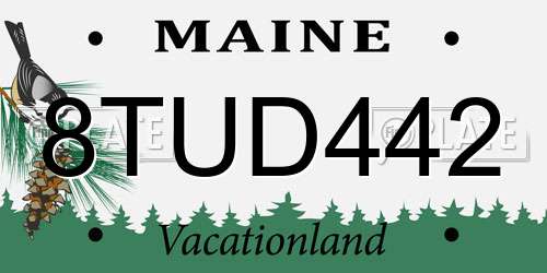 8TUD442 Maine License Plate