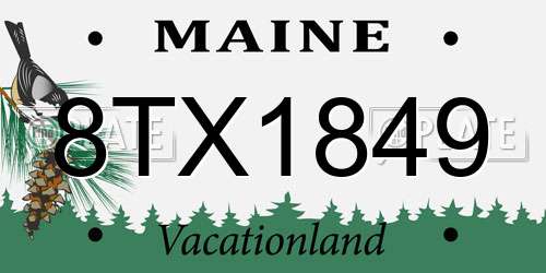 8TX1849 Maine License Plate