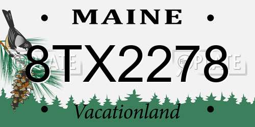 8TX2278 Maine License Plate