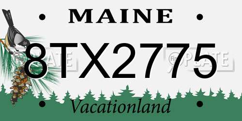 8TX2775 Maine License Plate