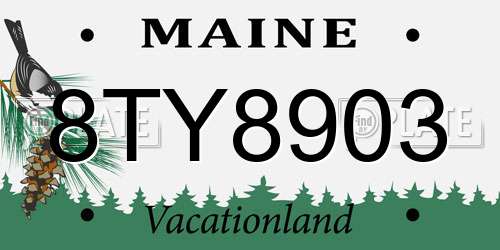 8TY8903 Maine License Plate