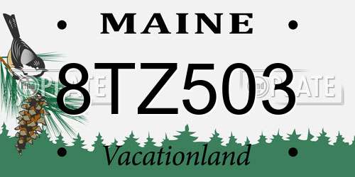 8TZ503 Maine License Plate