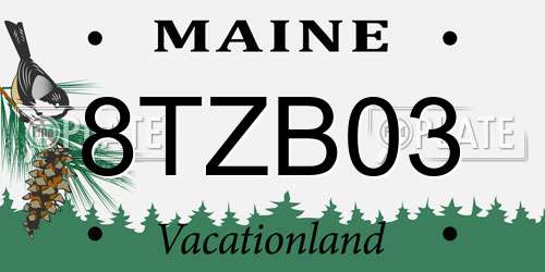 8TZB03 Maine License Plate