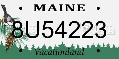 8U54223 Maine License Plate